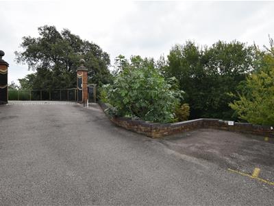 Picture 17